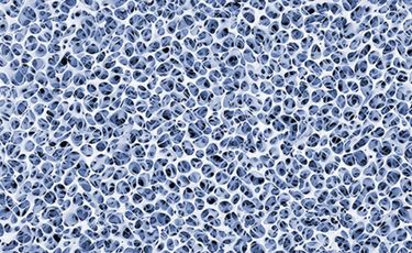 Germany’s Outlast revolutionises insulation with Aersulate fabric